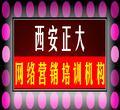 西安正大網絡 以軟件開發與高端網站定制為核心，驅動整合網絡營銷與技術創新